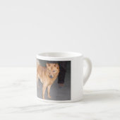 Finnish_Spitz full.jpg Espresso Kop (Voorkant rechts)