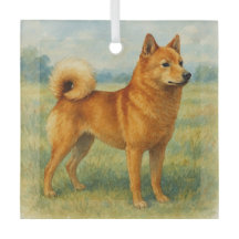 Finnish Spitz