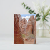 Fins, Arches National Park, Utah, Briefkaart (Staand voorkant)