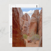 Fins, Arches National Park, Utah, Briefkaart (Voorkant / Achterkant)