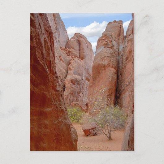Fins, Arches National Park, Utah, Briefkaart (Voorkant)