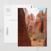 Fins, Arches National Park, Utah, Briefkaart (Voorkant / Achterkant)