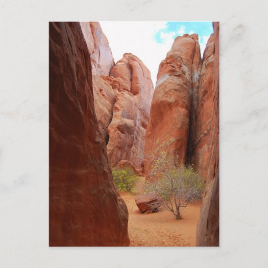 Fins, Arches National Park, Utah, Briefkaart (Voorkant)