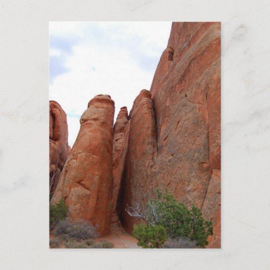Fins, Arches National Park, Utah, Briefkaart (Voorkant)