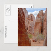 Fins, Arches National Park, Utah, Briefkaart (Voorkant / Achterkant)
