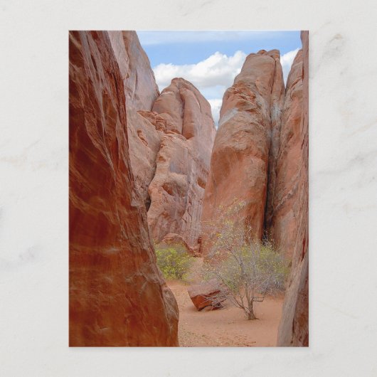 Fins, Arches National Park, Utah, Briefkaart (Voorkant)