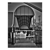 "Fins" Foto Afdruk (Voorkant)