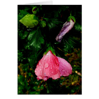 Fins-Hyvää Syntymäpäivää-raindrops