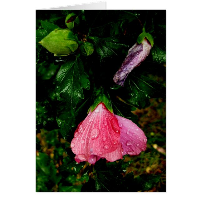 Fins-Hyvää Syntymäpäivää-raindrops (Voorkant)