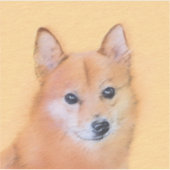 Fins Lapphund,Fins,Lapphund,Lapinkoira,Suome Sticker (Voorkant)