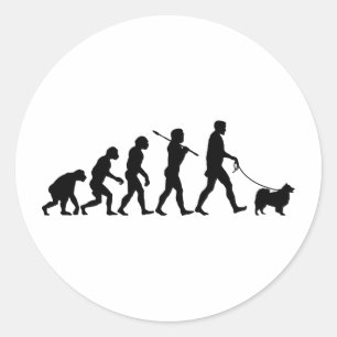 Fins Lapphund Ronde Sticker
