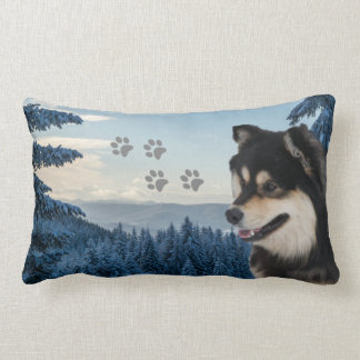 Fins Lapphund Roni Kussen