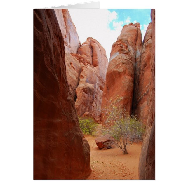 Fins, nationaal park Arches, Utah-kaart (Voorkant)