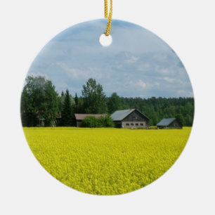 Fins ornament voor platteland