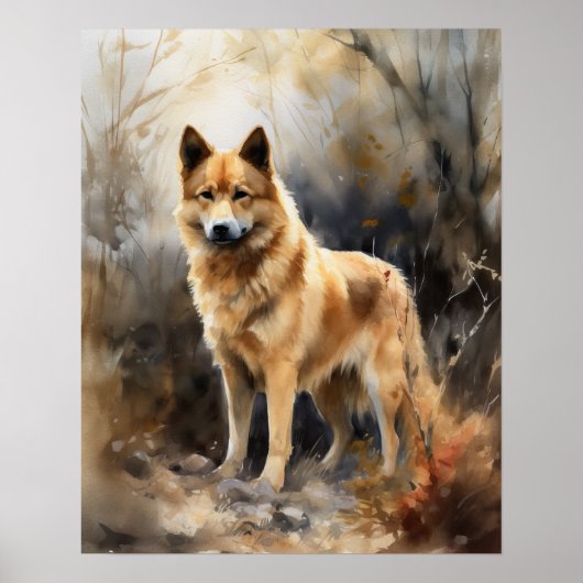 Fins Spitz Dog Art Print Poster (Voorkant)
