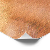 Fins Spitz-schilderij - Cute Original Dog Art Perfect Poster (Hoek)