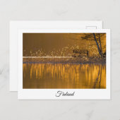 Finse briefkaart voor het zuidelijk landschap van  (Voorkant / Achterkant)