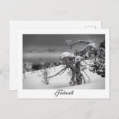 Finse briefkaart voor uitheemse bomen (Voorkant / Achterkant)