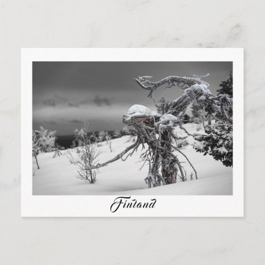 Finse briefkaart voor uitheemse bomen (Voorkant)