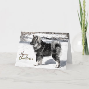 Finse Lapphund Christmas Kaart