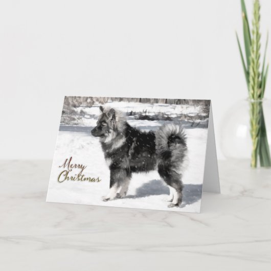 Finse Lapphund Christmas Kaart (Voorkant)