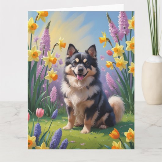 Finse Lapphund Hond Spring Bloemen Schilderen Kaart (Voorkant)