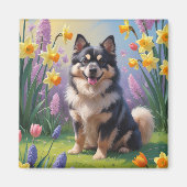 Finse Lapphund Hond Spring Bloemen Schilderen Magneet (Voorkant)