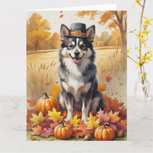 Finse Lapphund in de herfst verlaat de Thanksgivin Kaart