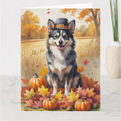 Finse Lapphund in de herfst verlaat de Thanksgivin Kaart (Voorkant)