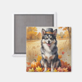 Finse Lapphund in de herfst verlaat de Thanksgivin Magneet (Voorkant / Achterkant)