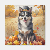 Finse Lapphund in de herfst verlaat de Thanksgivin Magneet (Voorkant)