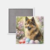 Finse Lapphund met paaseieren Magneet (Voorkant / Achterkant)