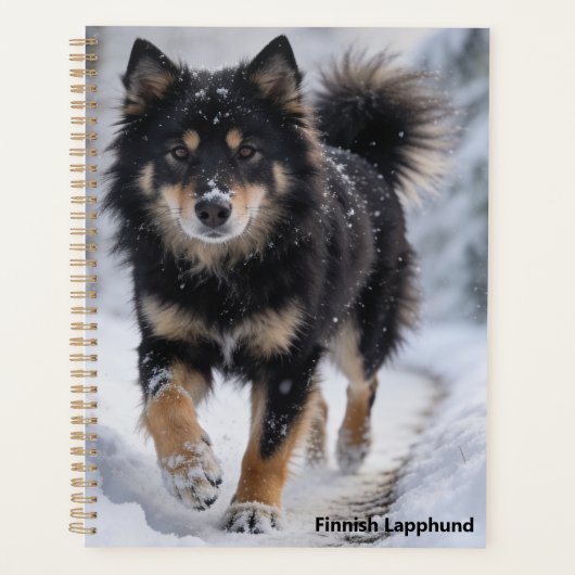 Finse Lapphund Planner (Voorkant)