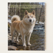 Finse Lapphund Planner (Achterkant)