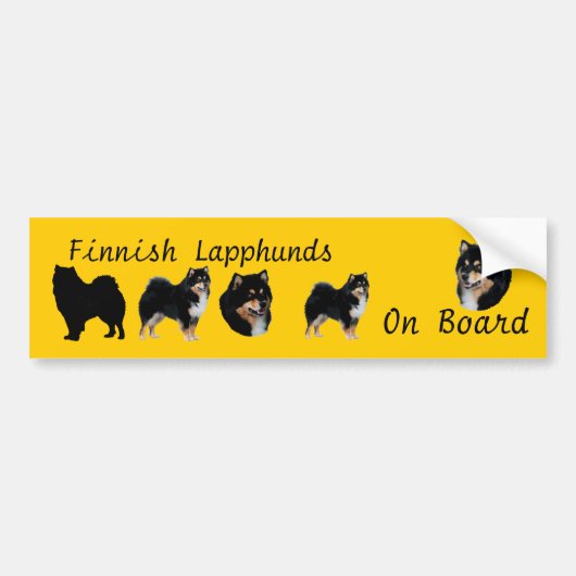 Finse Lapphunds aan raad van bestuur Bumpersticker (Voorkant)