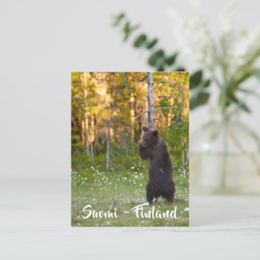Finse natuur briefkaart (Staand voorkant)