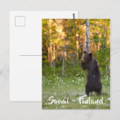 Finse natuur briefkaart (Voorkant / Achterkant)