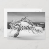 Finse natuur briefkaart (Voorkant / Achterkant)