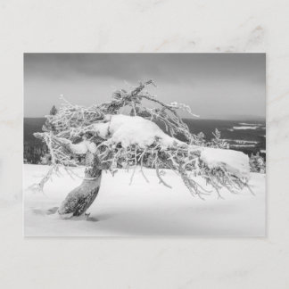 Finse natuur briefkaart