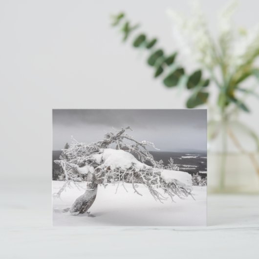 Finse natuur briefkaart (Staand voorkant)