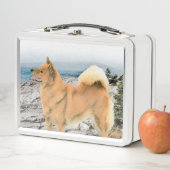 Finse spitz bij Seashore-schilderij - Dog Art (In situ)