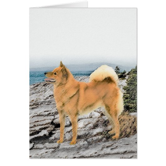 Finse spitz bij Seashore-schilderij - Dog Art (Voorkant)