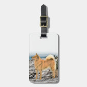 Finse spitz bij Seashore-schilderij - Dog Art Bagagelabel (Voorkant verticaal)