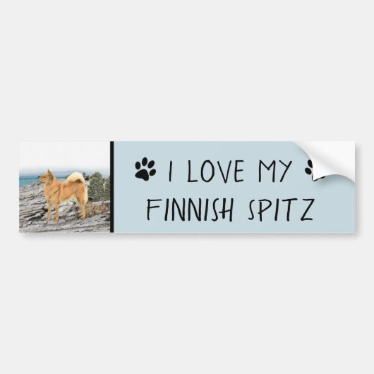 Finse spitz bij Seashore-schilderij - Dog Art Bumpersticker (Voorkant)