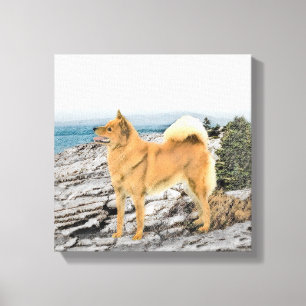 Finse spitz bij Seashore-schilderij - Dog Art Canvas Afdruk