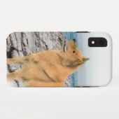 Finse spitz bij Seashore-schilderij - Dog Art Case-Mate iPhone Case (Achterkant (horizontaal))