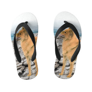 Finse spitz bij Seashore-schilderij - Dog Art Kinder Teenslippers