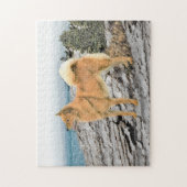 Finse spitz bij Seashore-schilderij - Dog Art Legpuzzel (Verticaal)