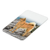Finse spitz bij Seashore-schilderij - Dog Art Magneet (Linkerzijde)