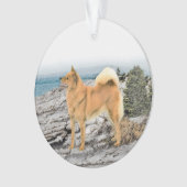 Finse spitz bij Seashore-schilderij - Dog Art Ornament (voorkant)